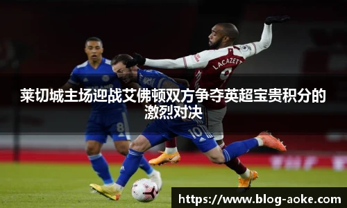 莱切城主场迎战艾佛顿双方争夺英超宝贵积分的激烈对决